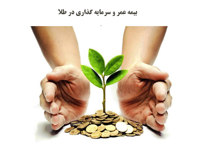 بیمه عمر و سرمایه گذاری در طلا